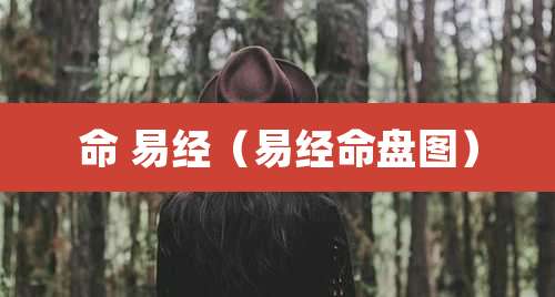 命 易经(易经命盘图)