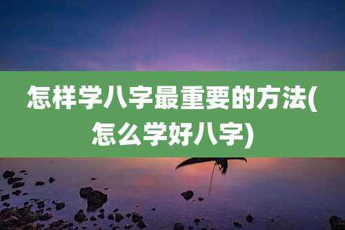 怎样学八字最重要的方法(怎么学好八字)