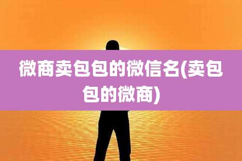 微商卖包包的微信名(卖包包的微商)