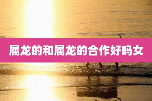 属龙的和属龙的合作好吗女