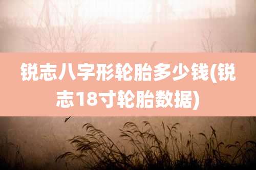 锐志八字形轮胎多少钱(锐志18寸轮胎数据)
