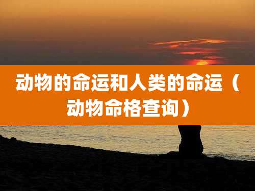 动物的命运和人类的命运（动物命格查询）