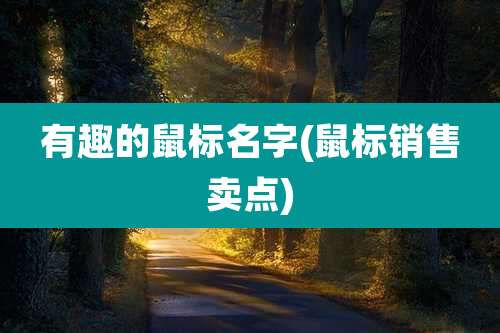 有趣的鼠标名字(鼠标销售卖点)