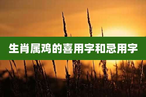 生肖属鸡的喜用字和忌用字