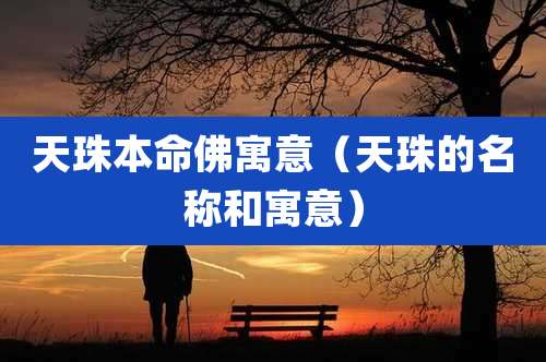 天珠本命佛寓意（天珠的名称和寓意）