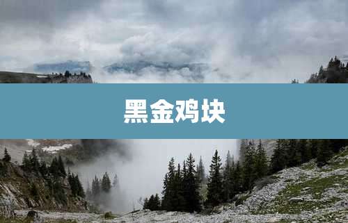 黑金鸡块