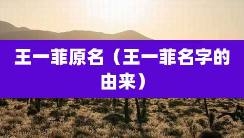 王一菲原名（王一菲名字的由来）