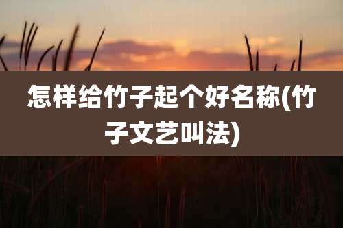 怎样给竹子起个好名称(竹子文艺叫法)