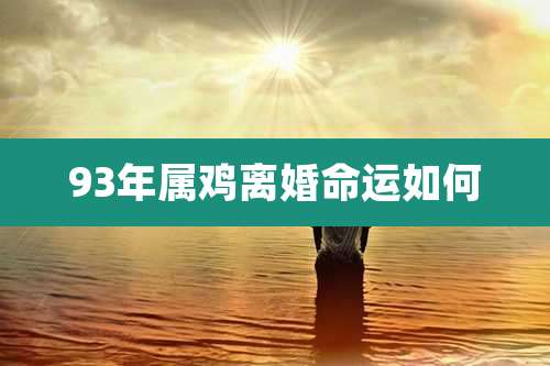 93年属鸡离婚命运如何