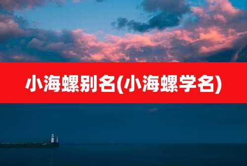 小海螺别名(小海螺学名)