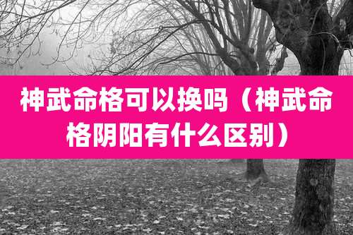 神武命格可以换吗（神武命格阴阳有什么区别）