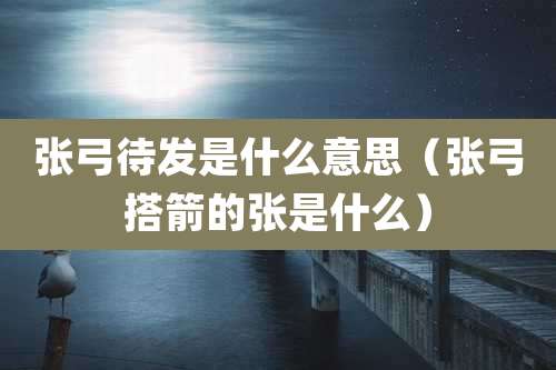 张弓待发是什么意思（张弓搭箭的张是什么）