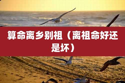 算命离乡别祖（离祖命好还是坏）