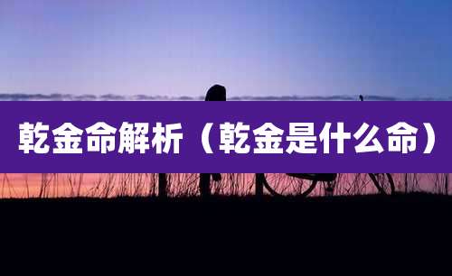 乾金命解析(乾金是什么命)