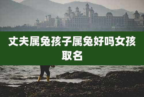 丈夫属兔孩子属兔好吗女孩取名