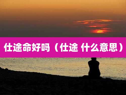 仕途命好吗(仕途 什么意思)