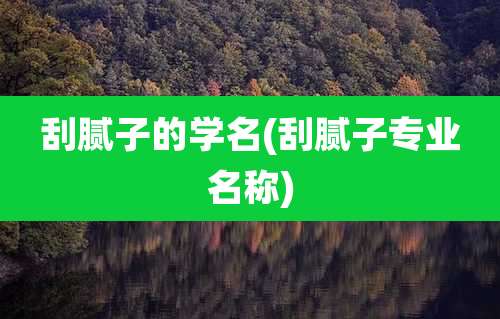 刮腻子的学名(刮腻子专业名称)