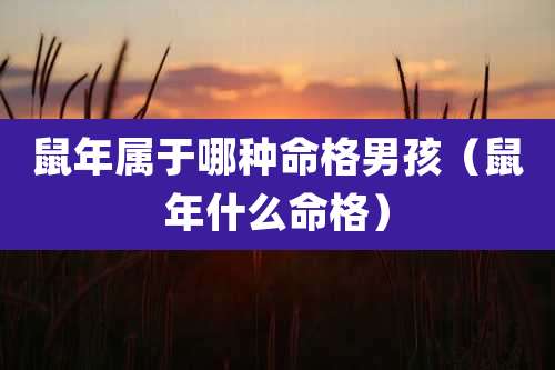 鼠年属于哪种命格男孩（鼠年什么命格）