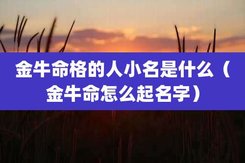 金牛命格的人小名是什么（金牛命怎么起名字）