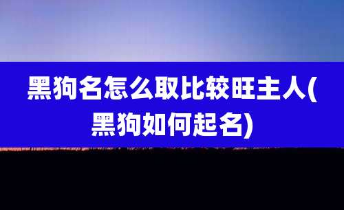 黑狗名怎么取比较旺主人(黑狗如何起名)