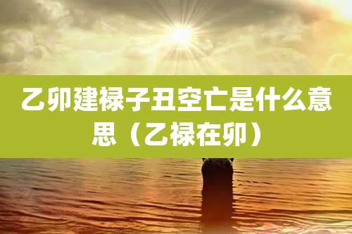 乙卯建禄子丑空亡是什么意思（乙禄在卯）