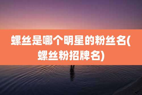 螺丝是哪个明星的粉丝名(螺丝粉招牌名)