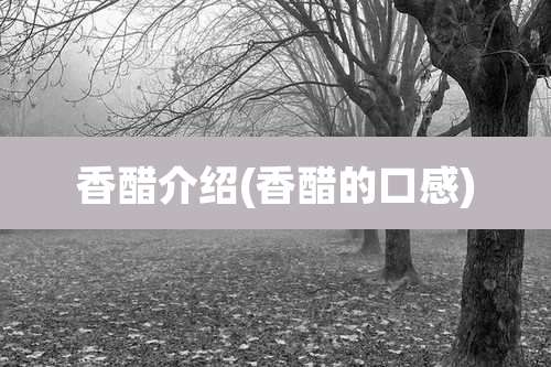 香醋介绍(香醋的口感)