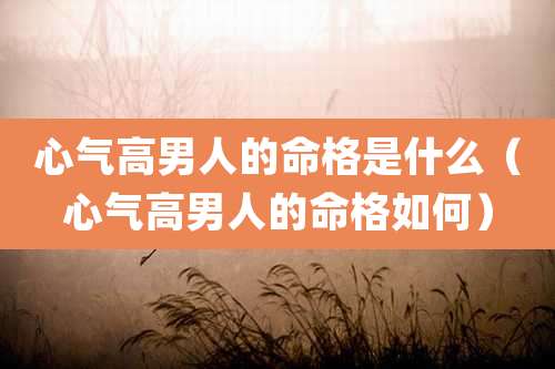 心气高男人的命格是什么（心气高男人的命格如何）