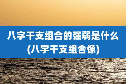 八字干支组合的强弱是什么(八字干支组合像)