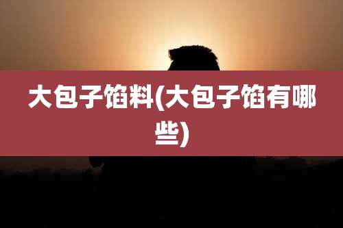 大包子馅料(大包子馅有哪些)