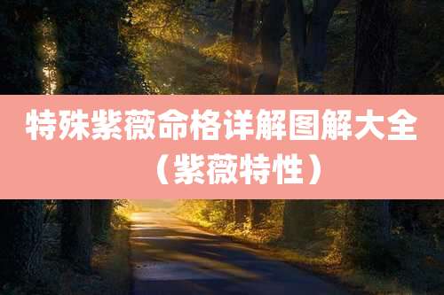 特殊紫薇命格详解图解大全（紫薇特性）