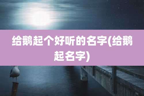 给鹅起个好听的名字(给鹅起名字)