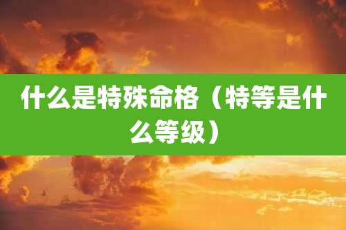 什么是特殊命格（特等是什么等级）