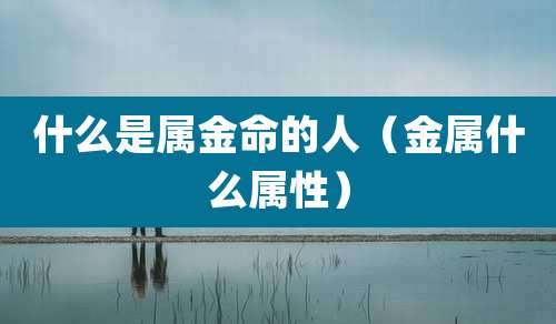 什么是属金命的人（金属什么属性）