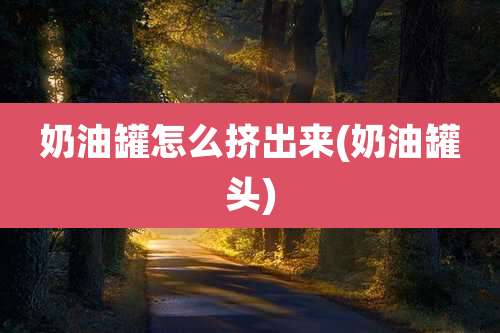 奶油罐怎么挤出来(奶油罐头)