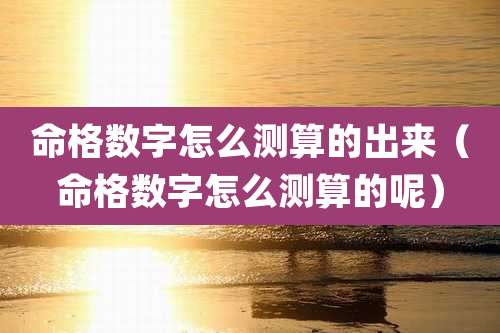 命格数字怎么测算的出来（命格数字怎么测算的呢）