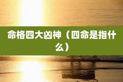 命格四大凶神（四命是指什么）