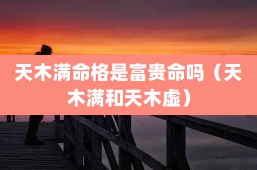 天木满命格是富贵命吗（天木满和天木虚）