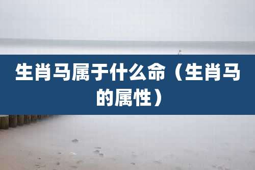 生肖马属于什么命（生肖马的属性）