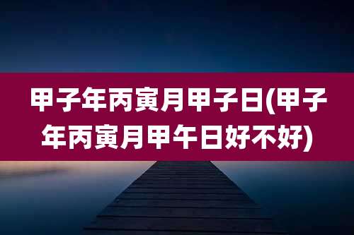 甲子年丙寅月甲子日(甲子年丙寅月甲午日好不好)