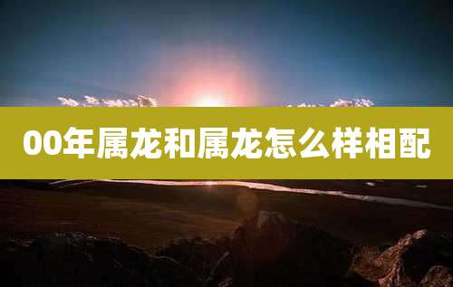 00年属龙和属龙怎么样相配