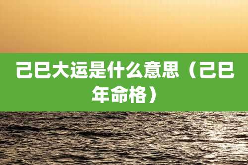 己巳大运是什么意思（己巳年命格）