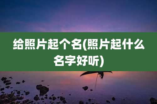 给照片起个名(照片起什么名字好听)