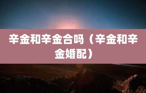 辛金和辛金合吗（辛金和辛金婚配）