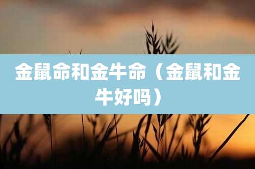 金鼠命和金牛命（金鼠和金牛好吗）