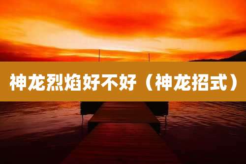 神龙烈焰好不好（神龙招式）