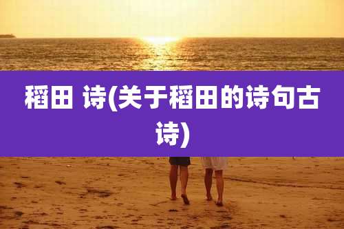稻田 诗(关于稻田的诗句古诗)