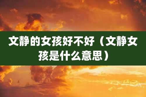 文静的女孩好不好（文静女孩是什么意思）