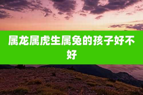 属龙属虎生属兔的孩子好不好