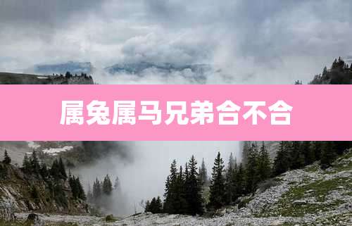 属兔属马兄弟合不合